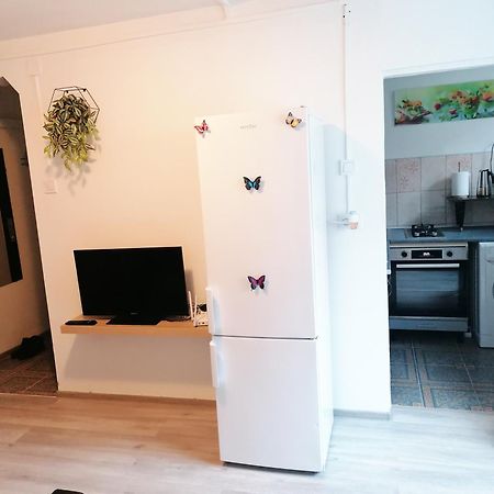 Romanilor - Studio First Floor Deva Bagian luar foto
